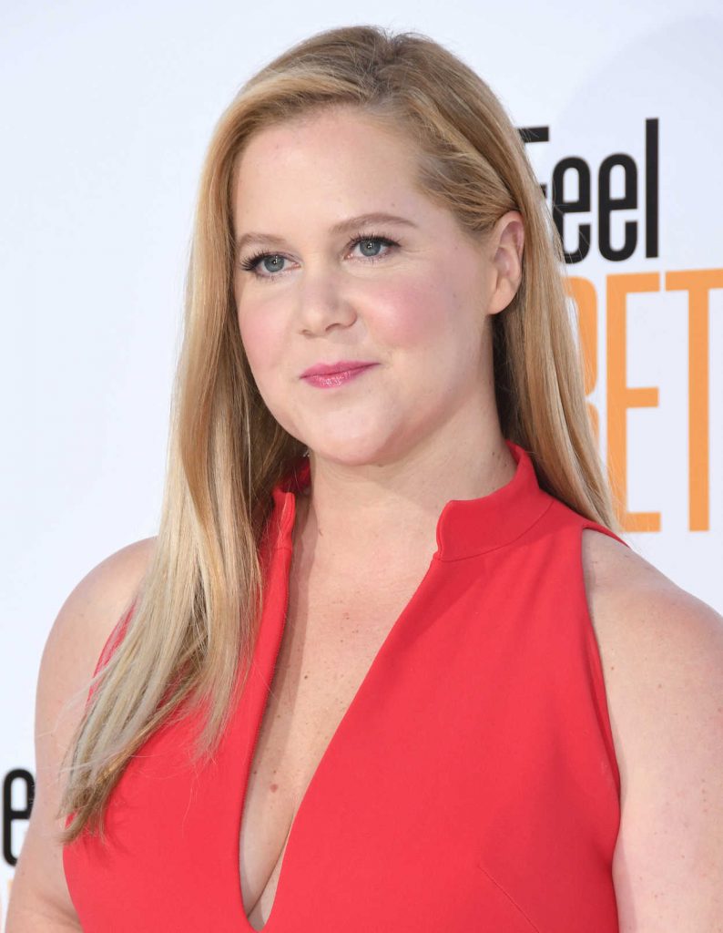 Amy Schumer at I Feel Pretty Premiere in Los Angeles 04/17/2018-5