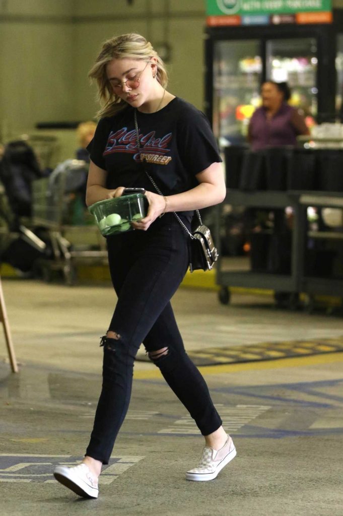Chloe Moretz Goes Grocery Shopping at Whole Foods in LA 04/12/2018-2