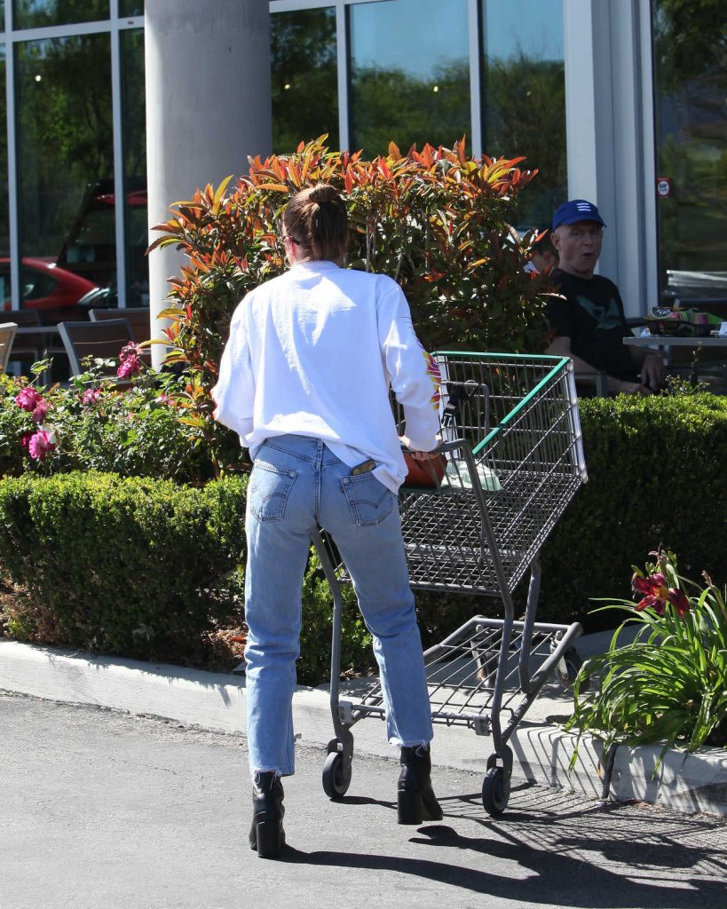 Sofia Richie Goes Grocery Shopping in Calabasas 04/17/2018-2