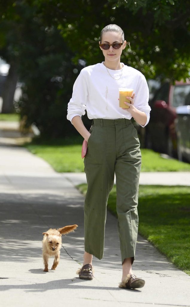 Willa Holland Was Spotted with Her Dog Out in Los Angeles 04/06/2018-3