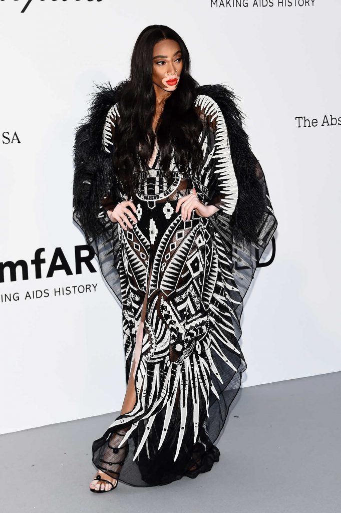 Winnie Harlow at amfAR's 25th Cinema Against AIDS Gala During the 71st Cannes Film Festival in Cannes 05/17/2018-3