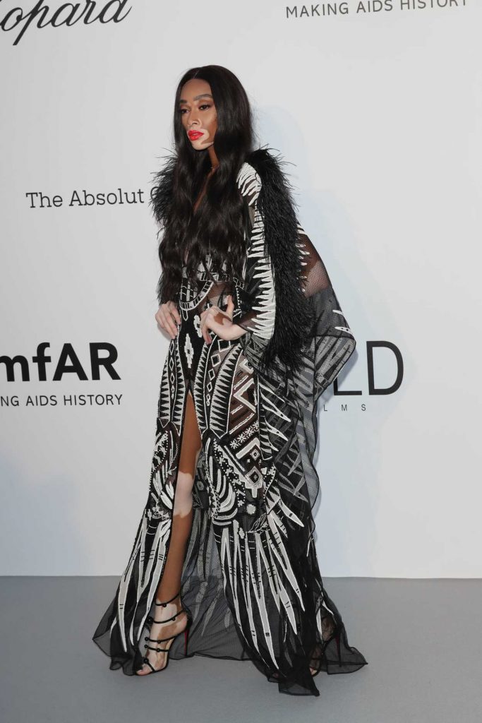 Winnie Harlow at amfAR's 25th Cinema Against AIDS Gala During the 71st Cannes Film Festival in Cannes 05/17/2018-4
