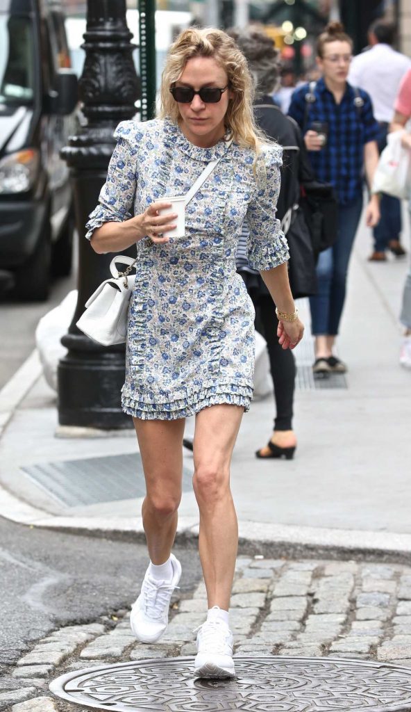 Chloe Sevigny Was Seen Out in New York City 06/22/2018-1