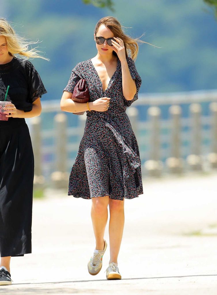 Dakota Johnson Was Spotted Out with a Friend by the Hudson River in NY 07/21/2018-3