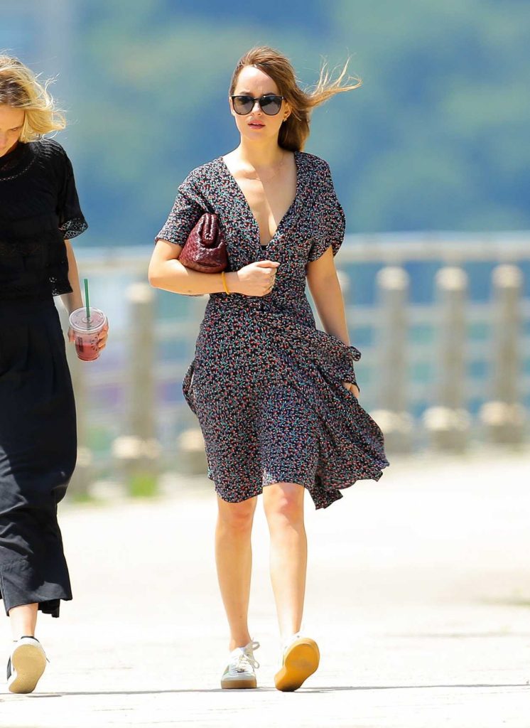 Dakota Johnson Was Spotted Out with a Friend by the Hudson River in NY 07/21/2018-4