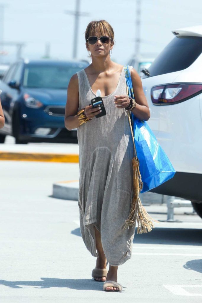 Halle Berry in a Gray Sundress