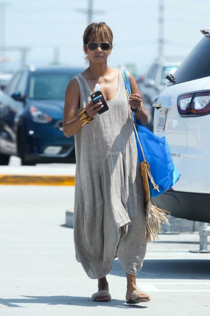 Halle Berry in a Gray Sundress