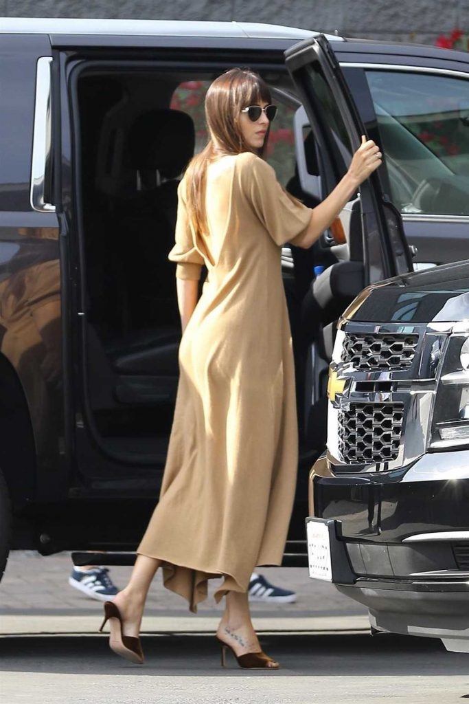 Dakota Johnson in a Beige Dress