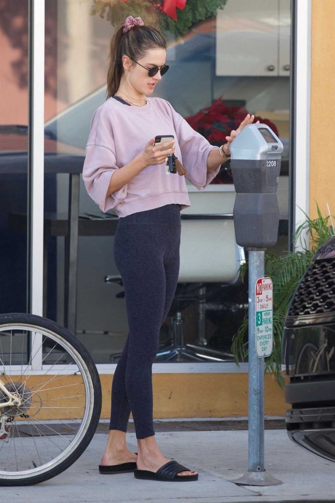 Alessandra Ambrosio in a Pink Long Sleeves T-Shirt
