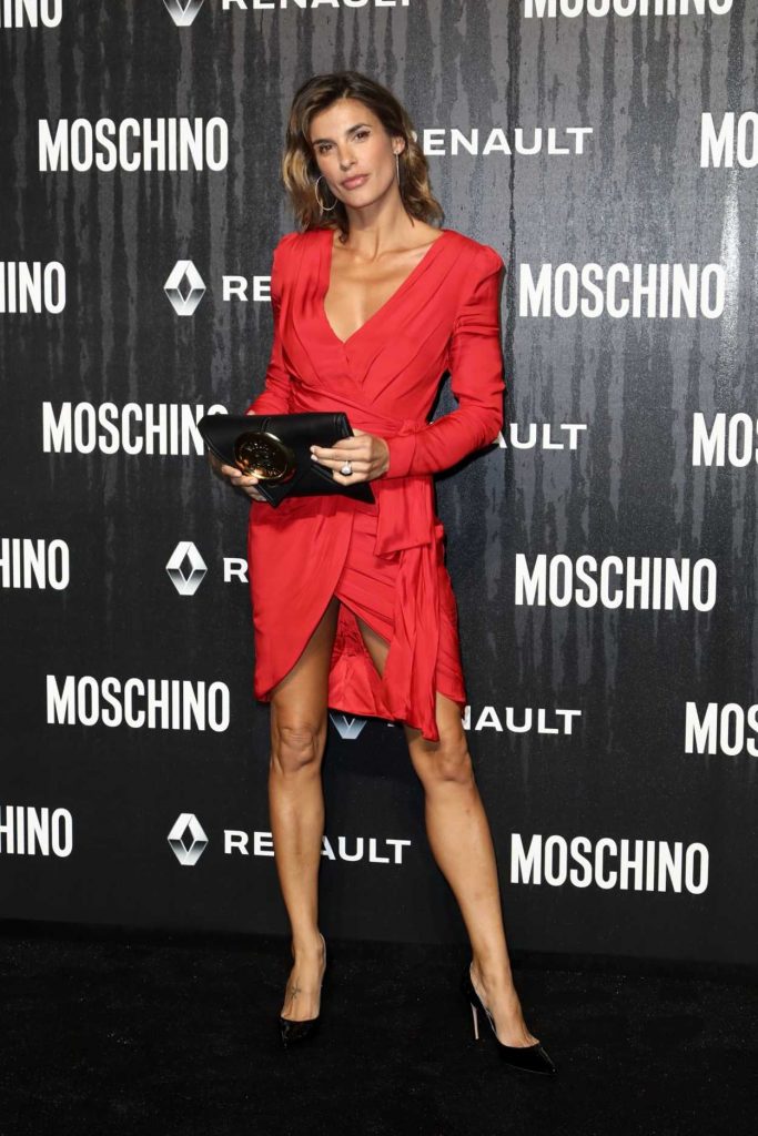 Elisabetta Canalis in a Red Dress