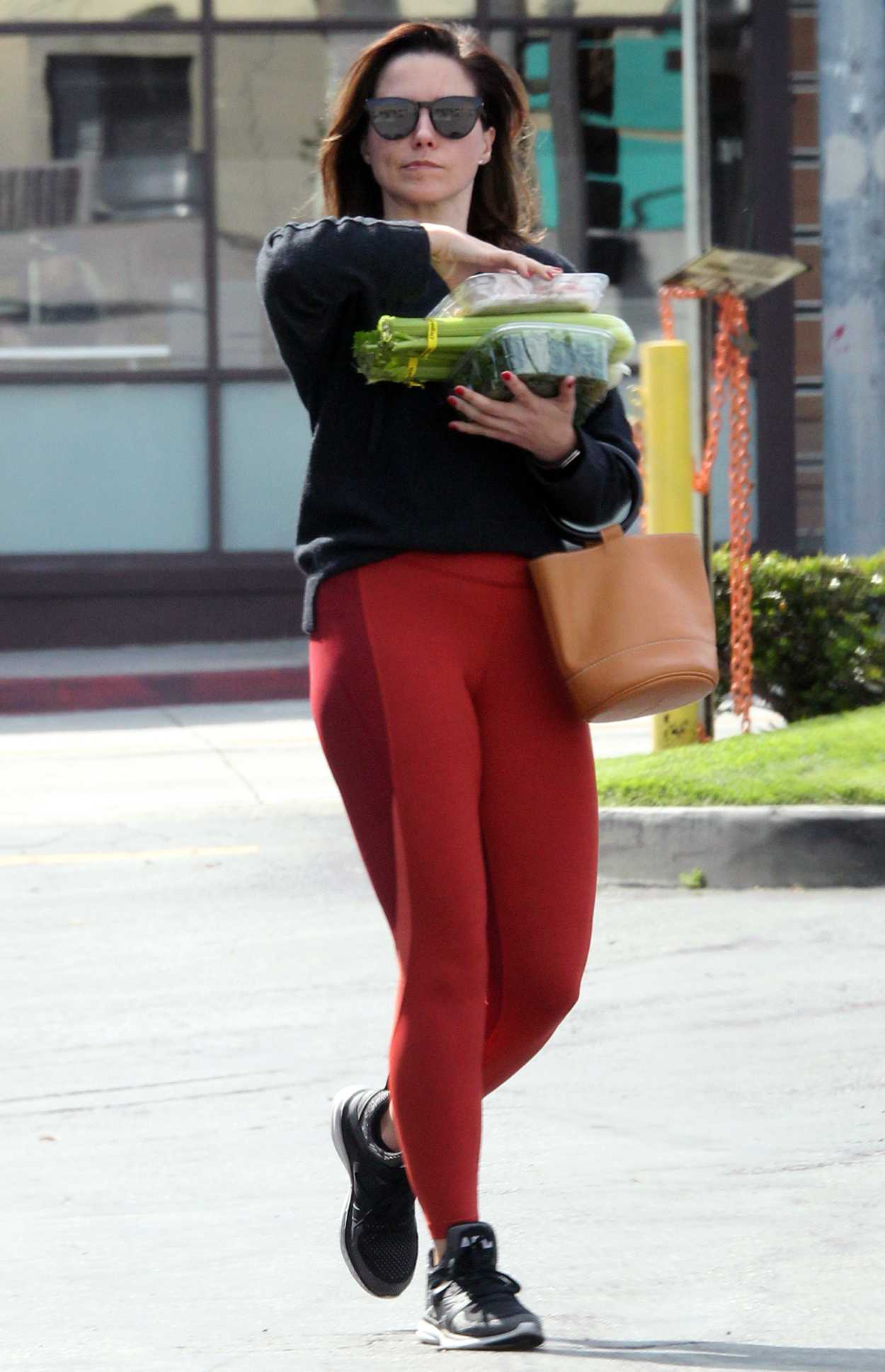 Sophia Bush In A Red Leggings Was Seen Out In West Hollywood 04 03 2019 