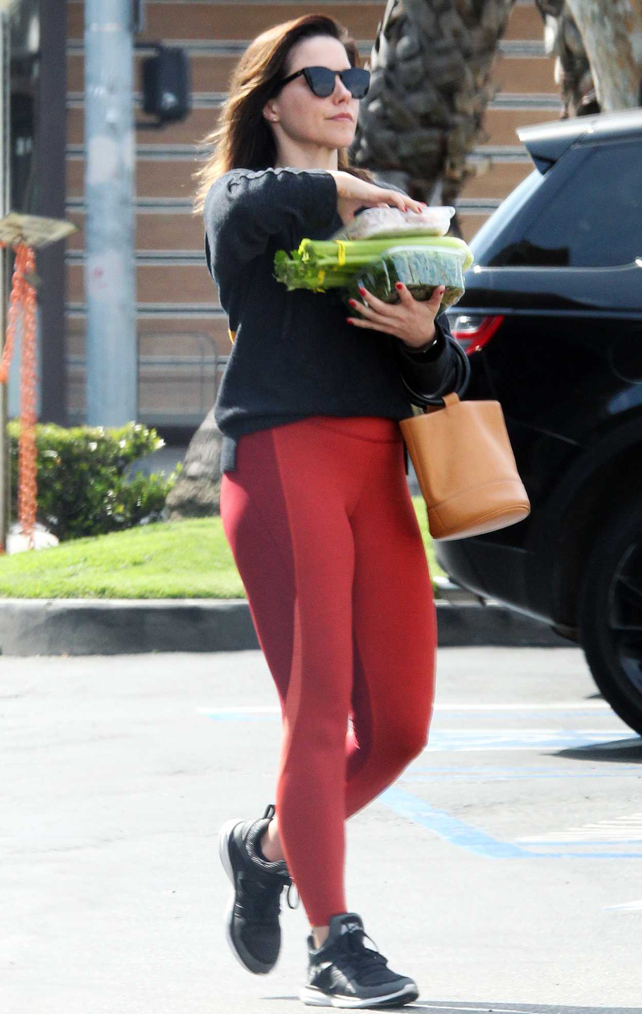 Sophia Bush In A Red Leggings Was Seen Out In West Hollywood 04 03 2019 