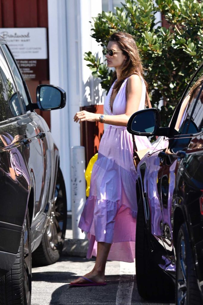 Alessandra Ambrosio in a Purple Dress