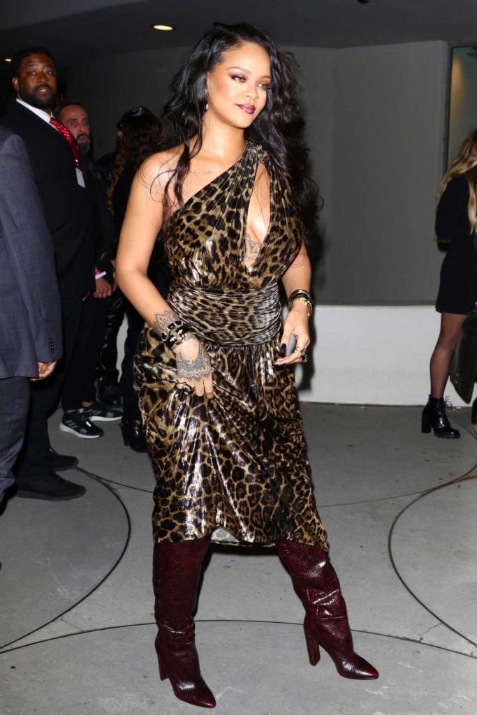 Rihanna in a Leopard Print Dress