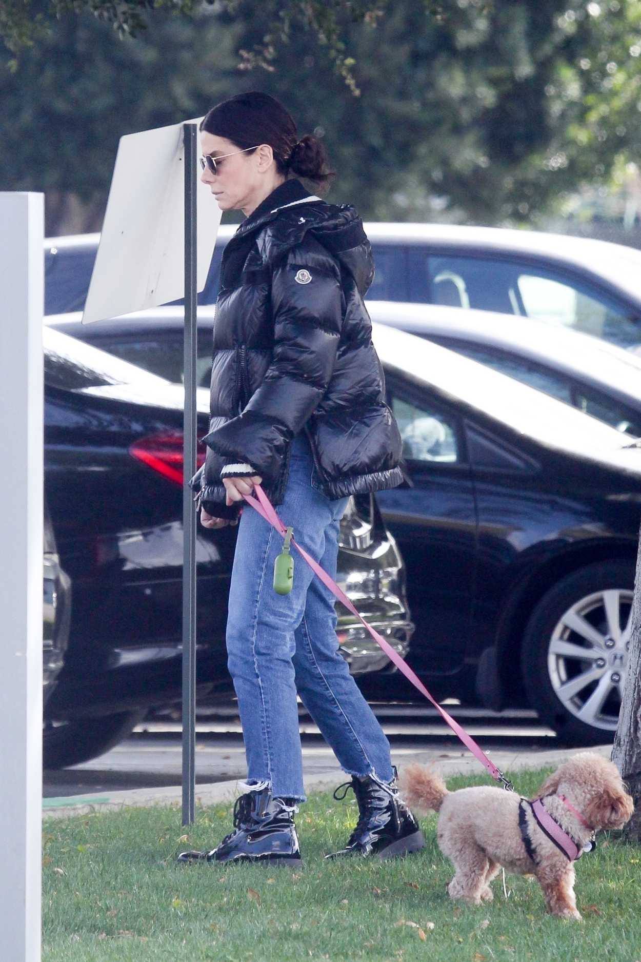 Sandra Bullock in a Black Puffer Jacket Walks Her Dog in Van Nuys 03/01 ...