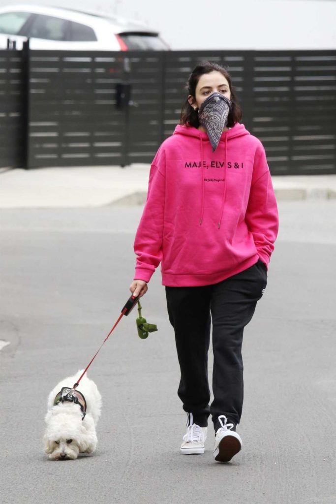 Lucy Hale in a Pink Hoody