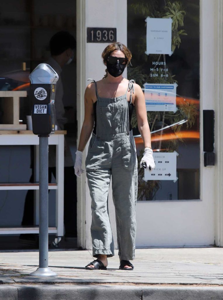 Ashley Tisdale in a Gray Jumpsuit