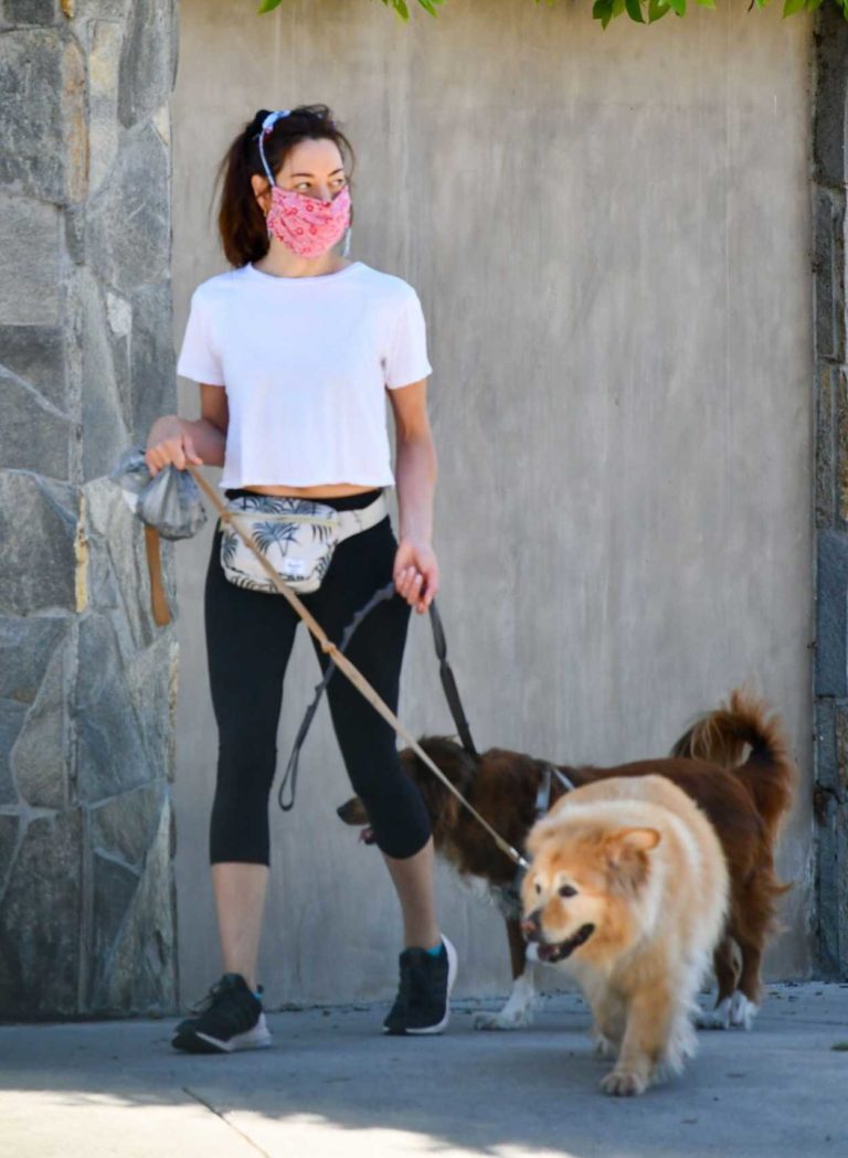 Aubrey Plaza in a White Tee Walks Her Dogs in Los Angeles 05/15/2020