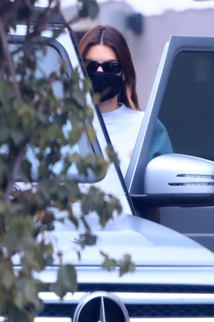 Kendall Jenner in a Black Protective Mask