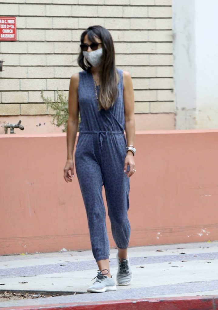 Jordana Brewster in a Gray Animal Print Jumpsuit