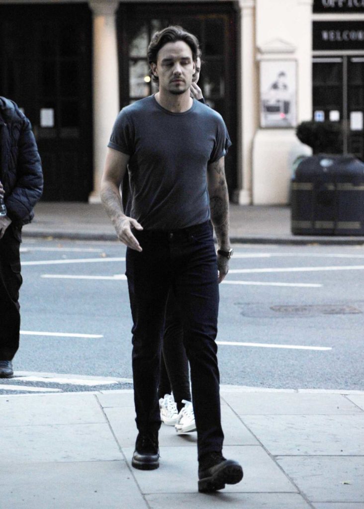 Liam Payne in a Gray Tee