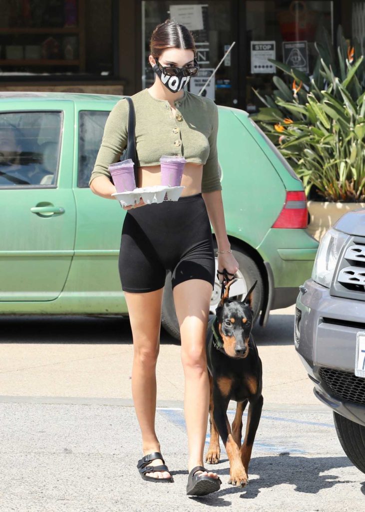 Kendall Jenner in a Black Spandex Shorts Brings Her Dog at Sunlife ...