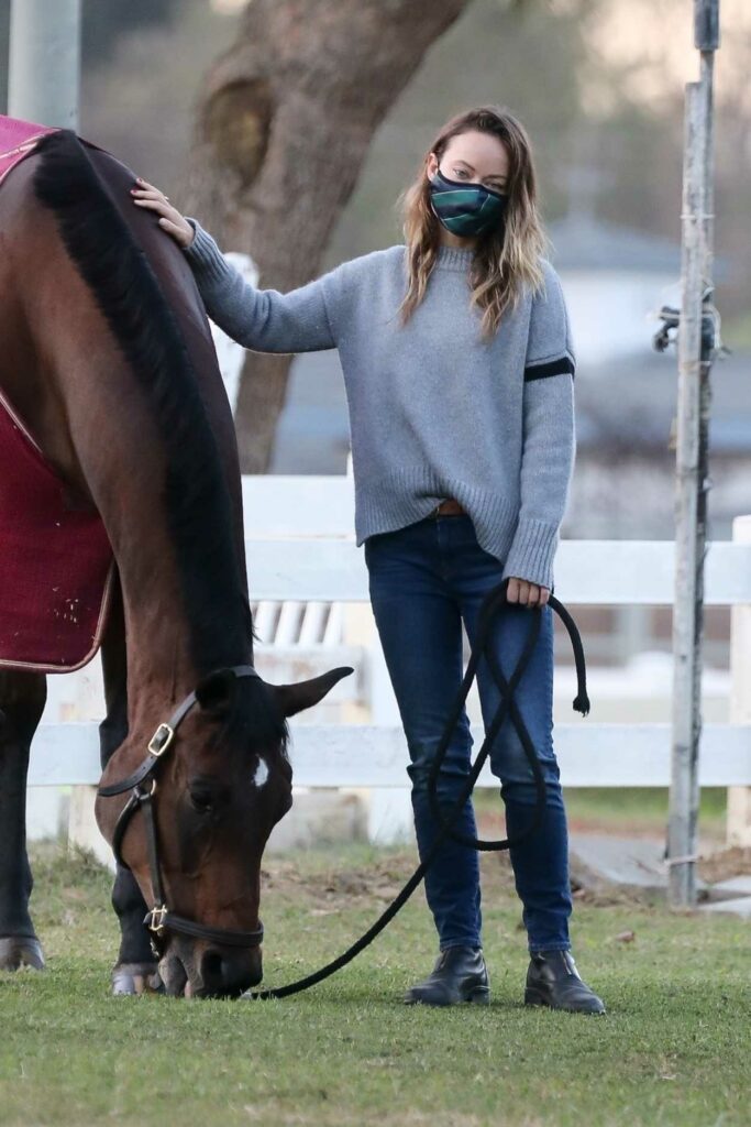 Olivia Wilde in a Grey Sweater