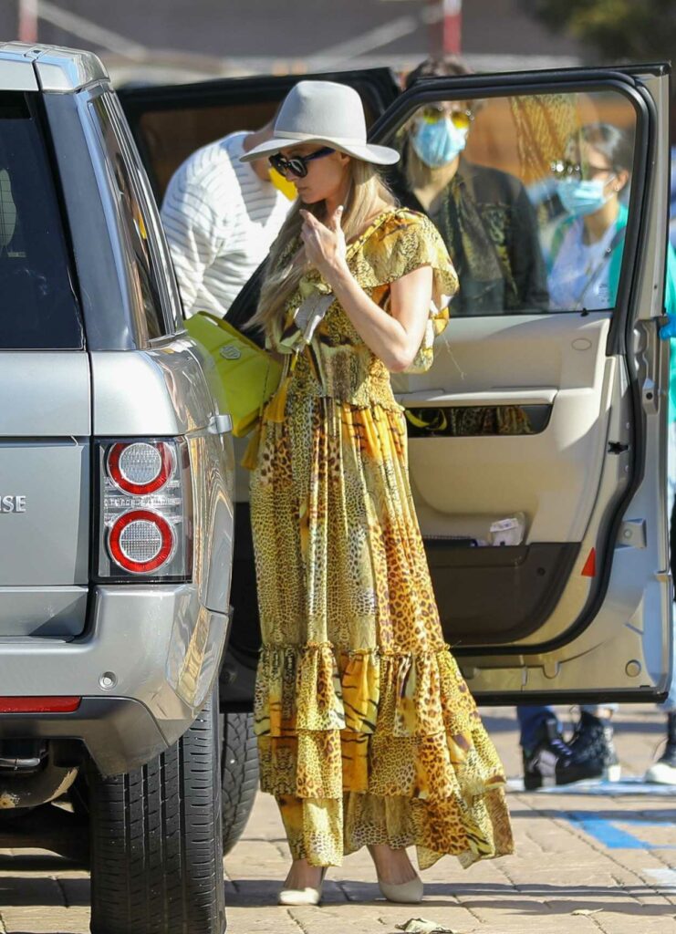 Paris Hilton in a Yellow Animal Print Dress