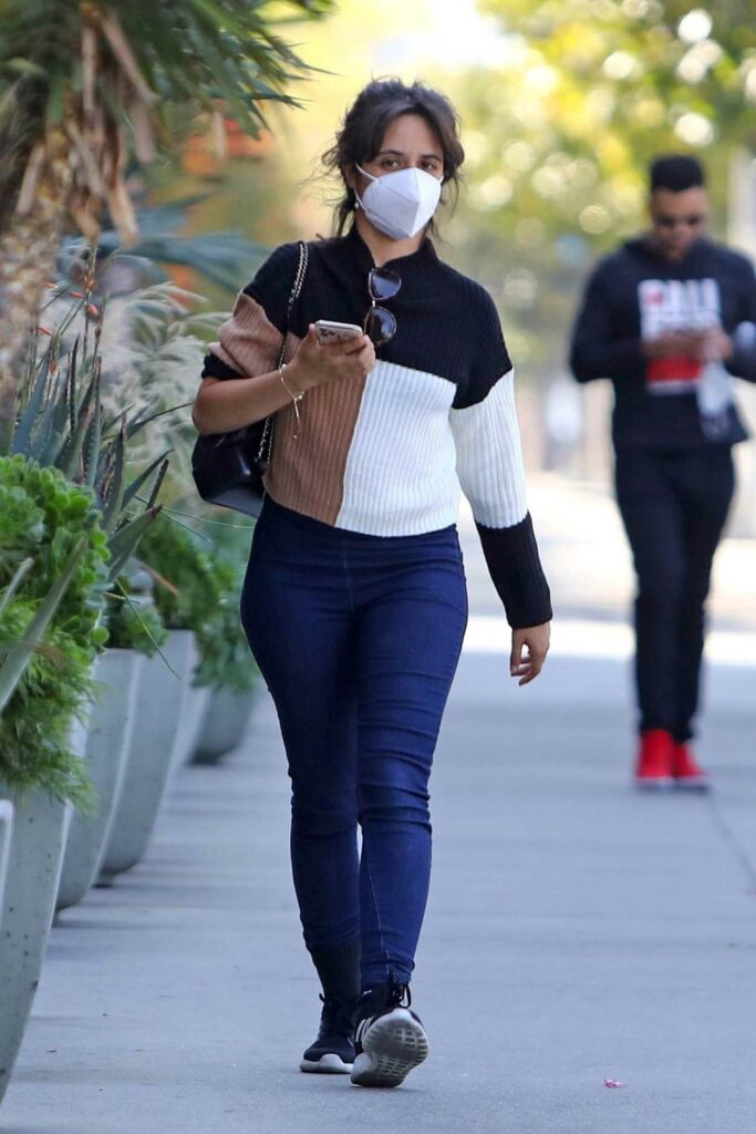 Camila Cabello in a Protective Mask