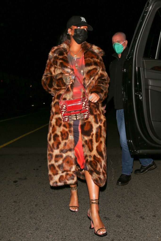 Rihanna in an Animal Print Fur Coat