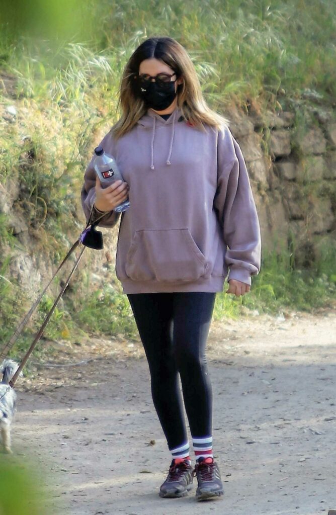 Ashley Tisdale in a Lilac Hoodie