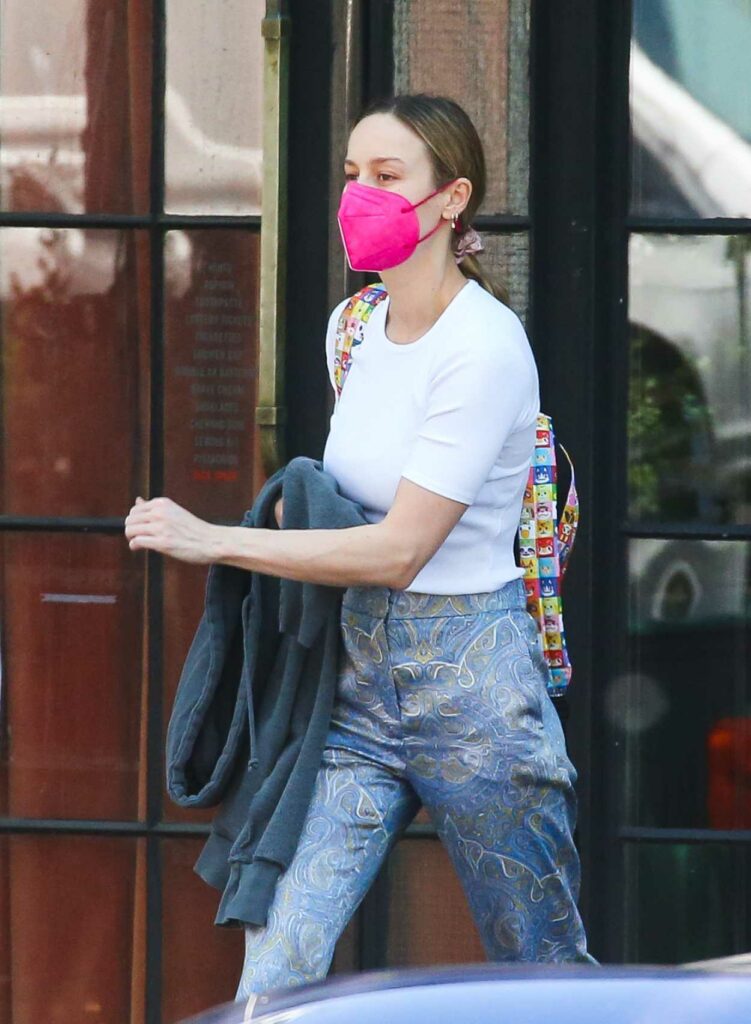 Brie Larson in a Pink Protective Mask Was Spotted Out in New York 06/06 ...