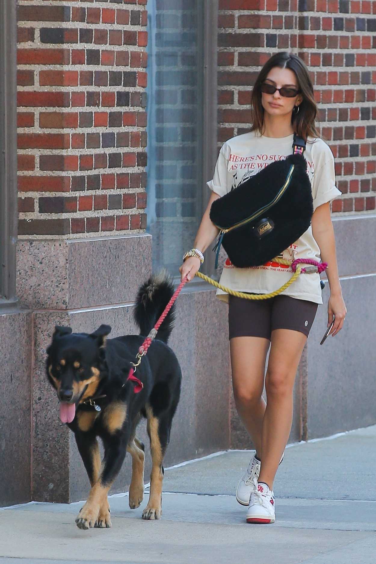 Emily Ratajkowski in a Black Spandex Shorts Walks Her Dog Colombo in ...