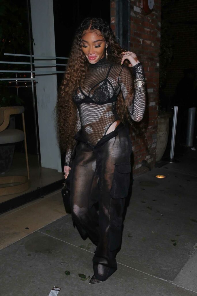 Winnie Harlow in a See-Through Top