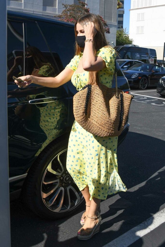 Sofia Vergara in a Yellow Patterned Dress