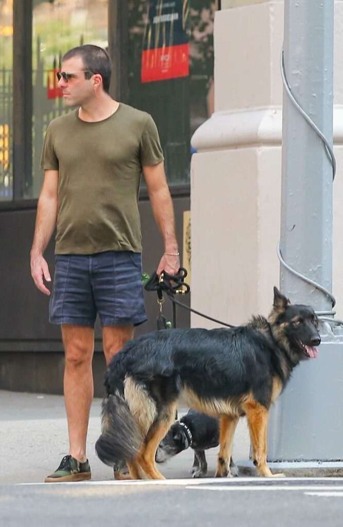 Zachary Quinto in an Olive Tee