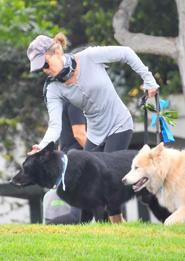 Renee Zellweger in a Grey Cap Walks Her Dogs at the Park in Laguna ...