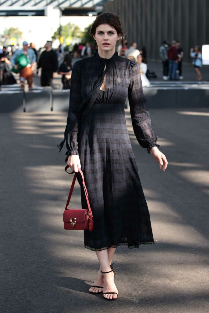 Alexandra Daddario in a Black Dress