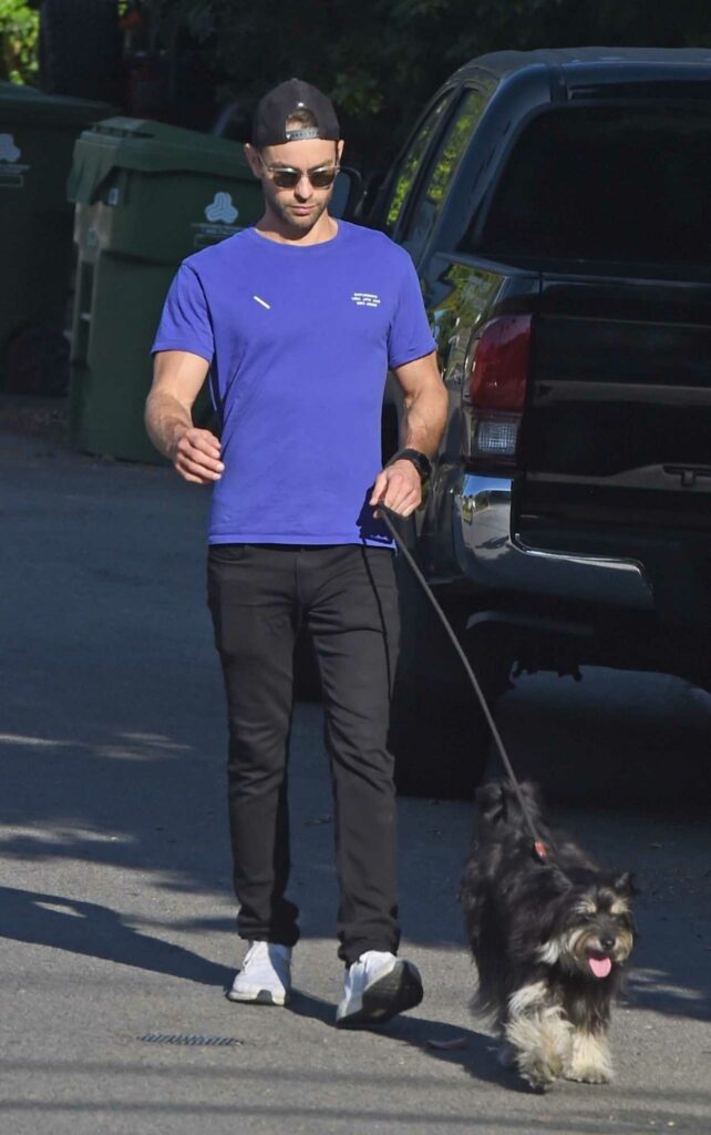Chace Crawford in a Purple Tee