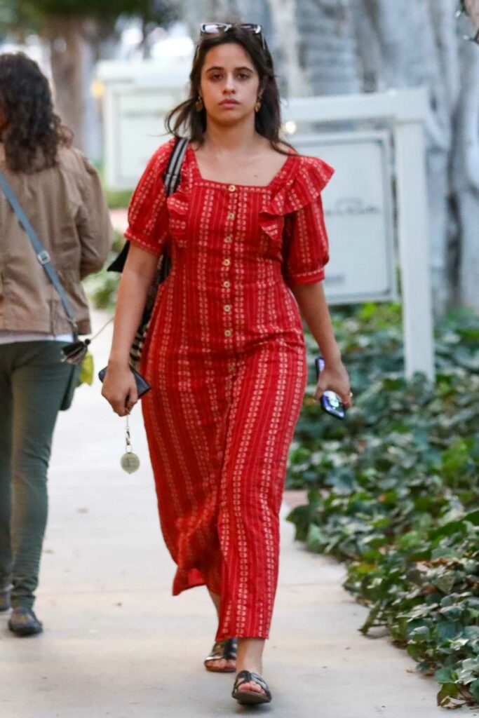 Camila Cabello in a Red Dress