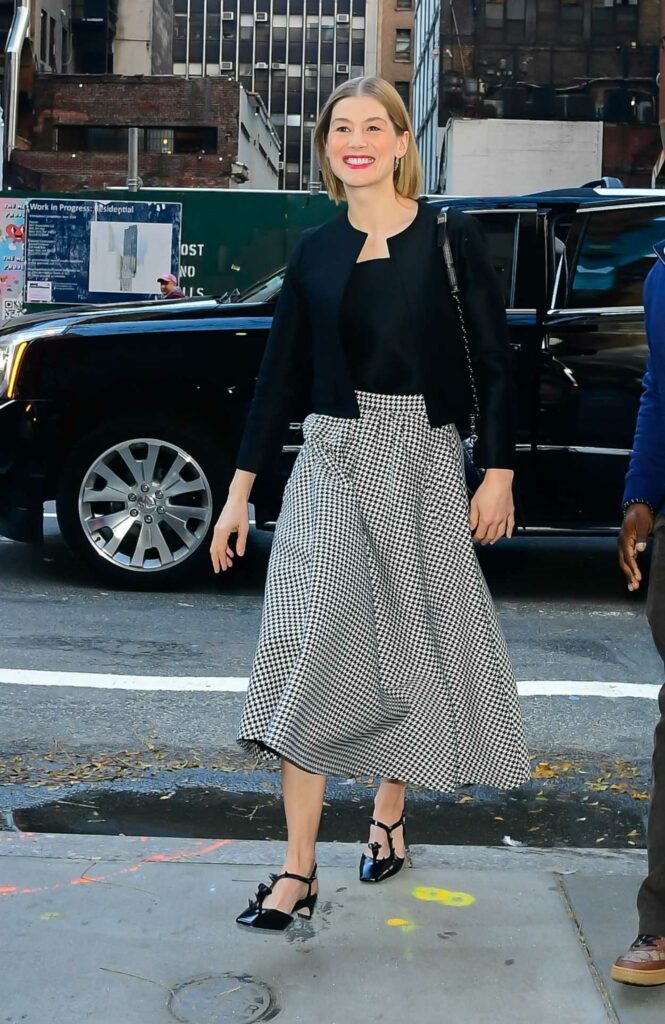 Rosamund Pike in a Grey Skirt