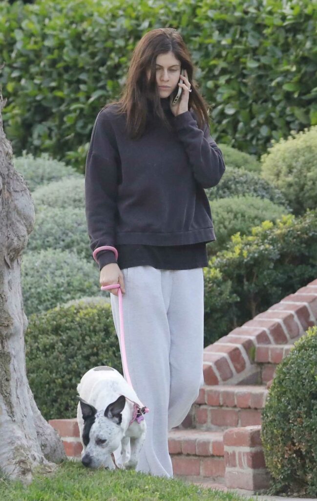 Alexandra Daddario in a Grey Sweatpants