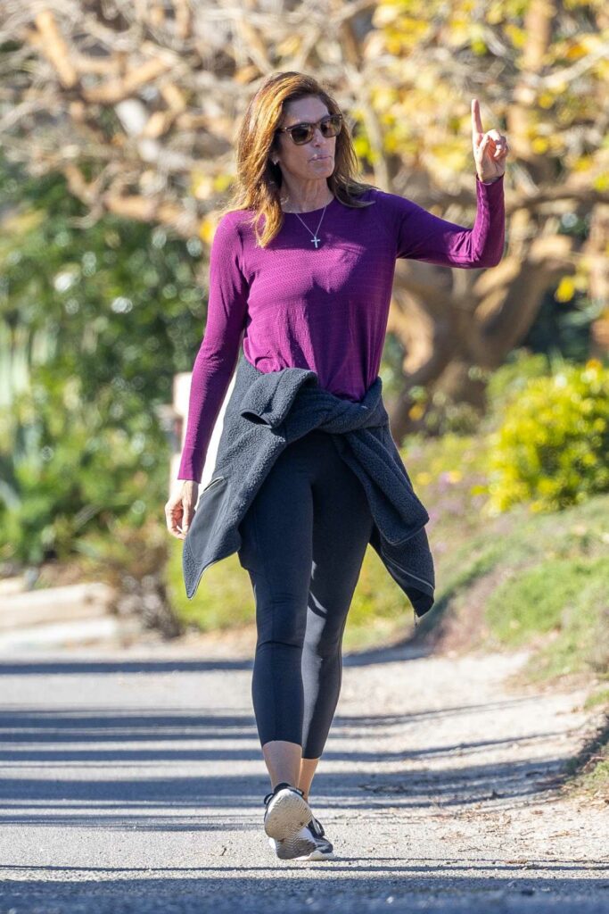 Cindy Crawford in a Lilac Long Sleeves T-Shirt