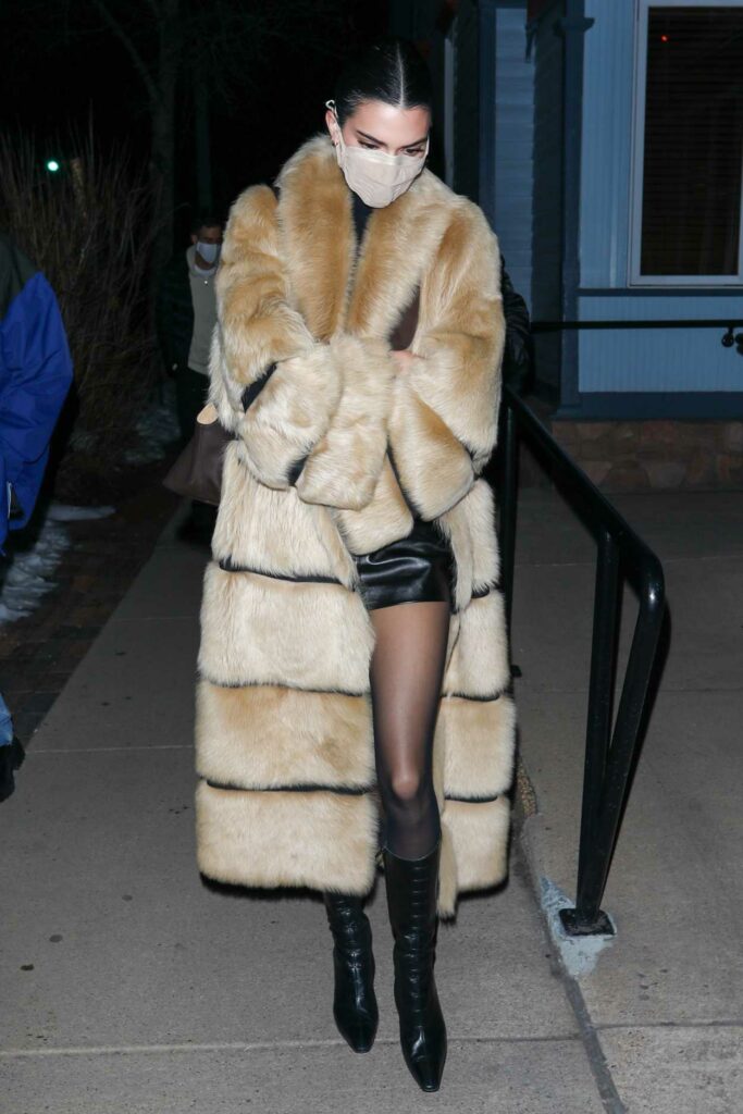 Kendall Jenner in a Beige Fur Coat
