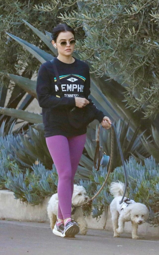 Lucy Hale in a Lilac Leggings