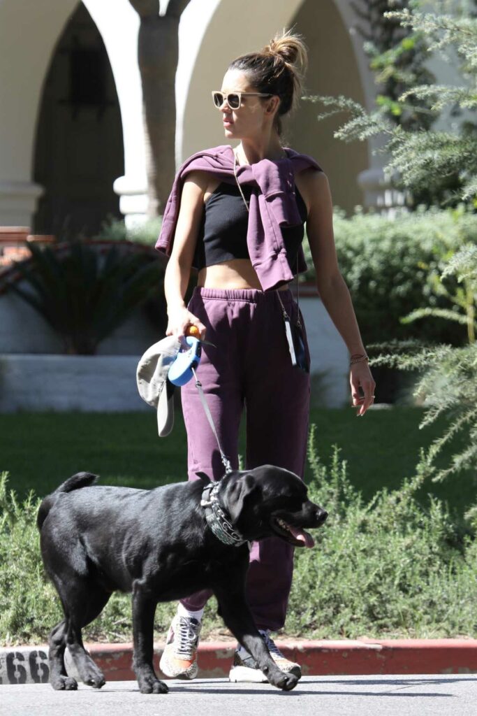 Alessandra Ambrosio in a Purple Sweatsuit