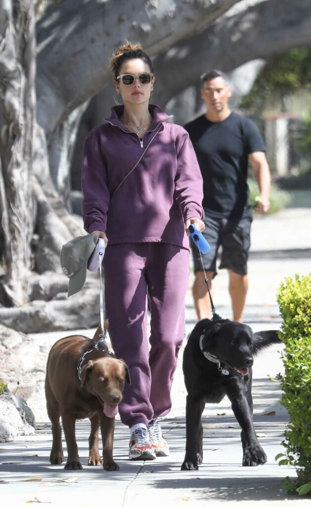 Alessandra Ambrosio in a Purple Sweatsuit
