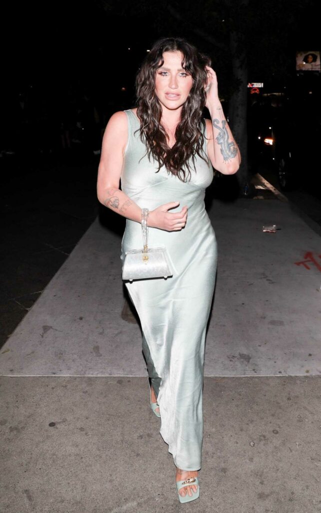 Kesha in a Grey Dress