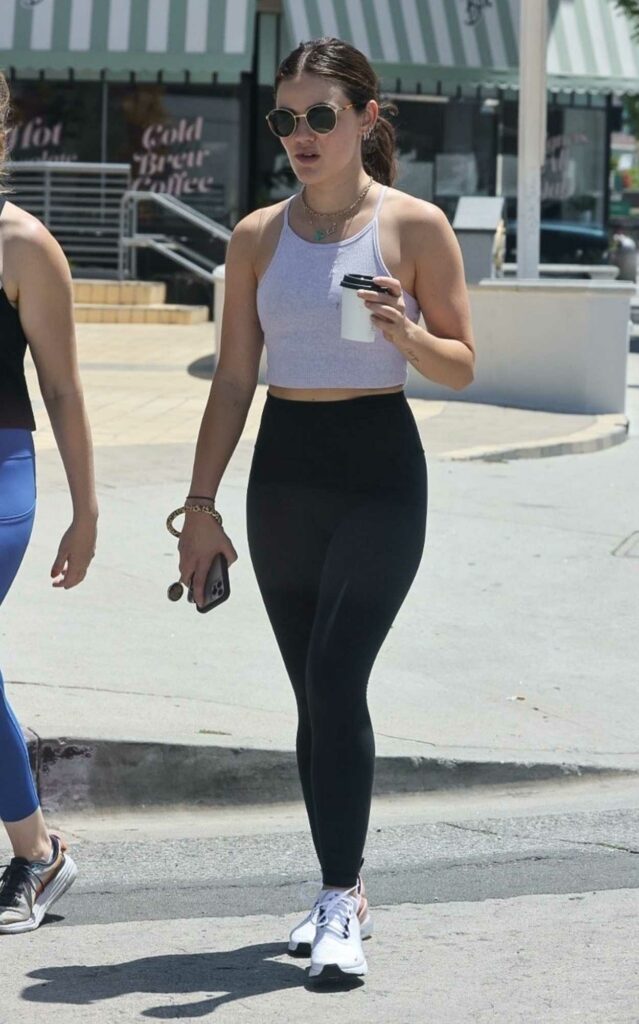 Lucy Hale in a Grey Top