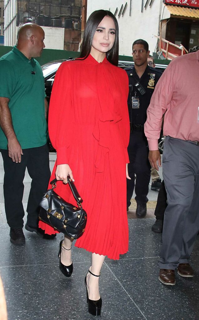 Sofia Carson in a Red Dress